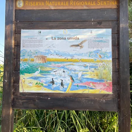 Blubay-apartments * San Benedetto del Tronto